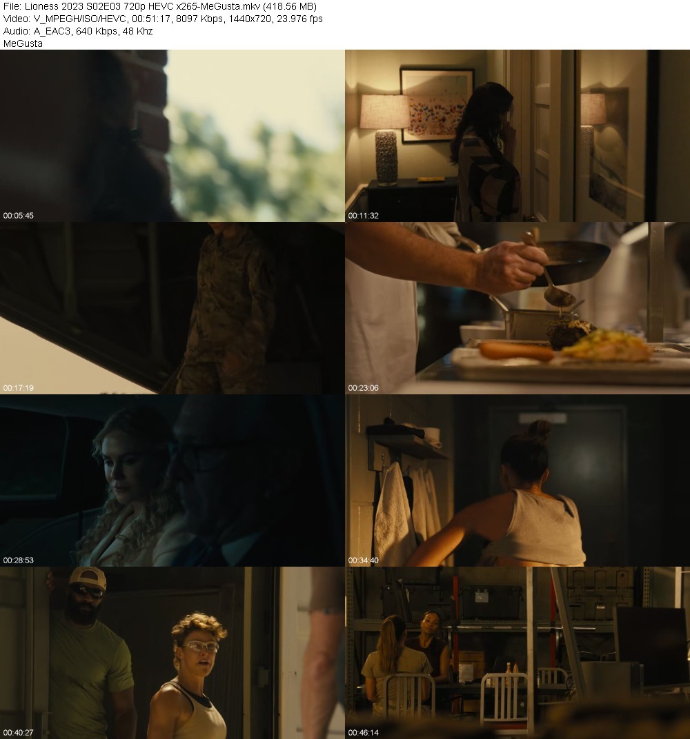 Lioness 2023 S02E03 720p HEVC x265-MeGusta