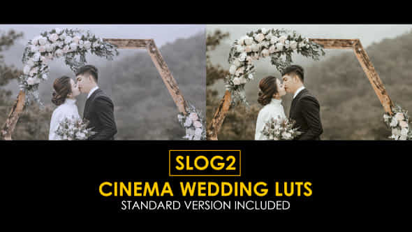 Slog2 Cinema Wedding And Standard Color Luts - VideoHive 48915029