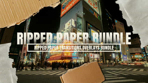 Ripped Paper Transitions Overlays Bundle - VideoHive 57201221