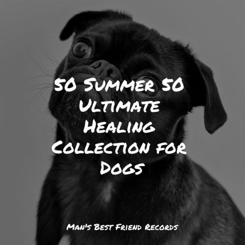 Calm Doggy - 50 Summer 50 Ultimate Healing Collection for Dogs - 2022