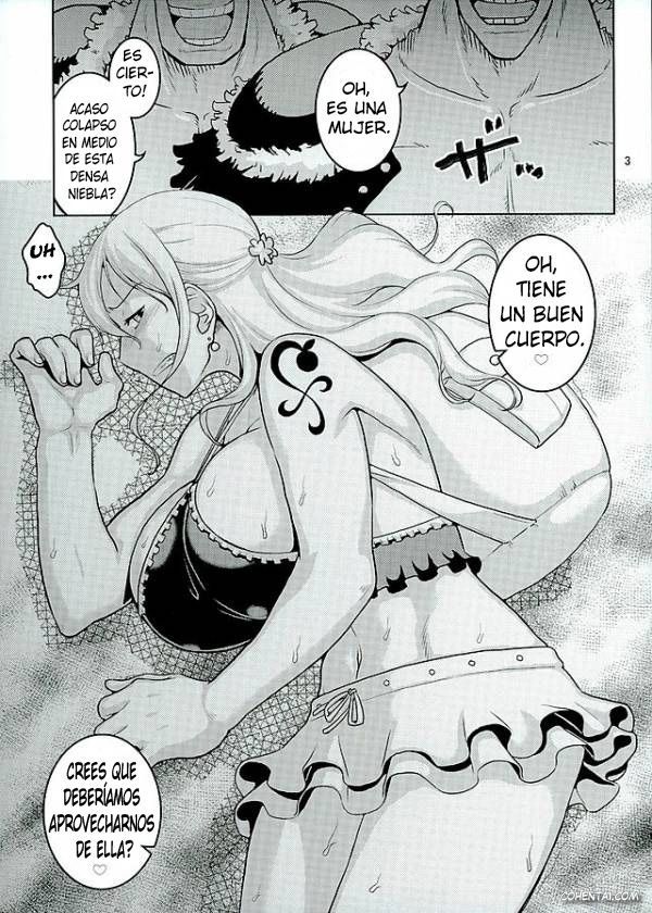 Nami no Ura Koukai Nisshi 11 (One Piece)