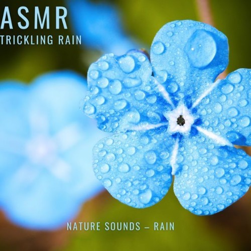 ASMR Trickling Rain - Nature Sounds – Rain - 2022