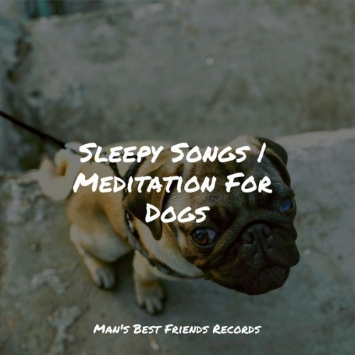 Relaxation Music For Dogs - Sleepy Songs  Meditation For Dogs - 2022