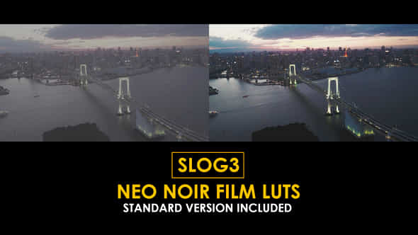 Pgs Slog3 Neo Noir Film And Standard Color Luts - VideoHive 50931114
