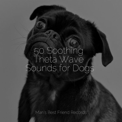 Music for Dog's Ears - 50 Soothing Theta Wave Sounds for Dogs - 2022