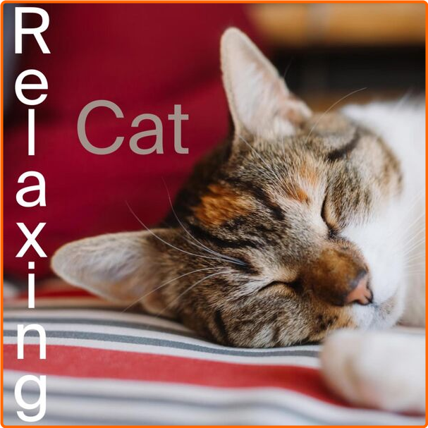 Various Artists - Relaxing Cat (2024) [320 Kbps] NoWiFQsy_o