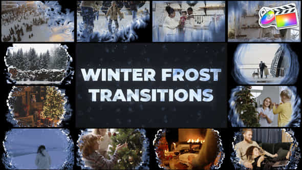 Winter Frost Transitions - VideoHive 42343799