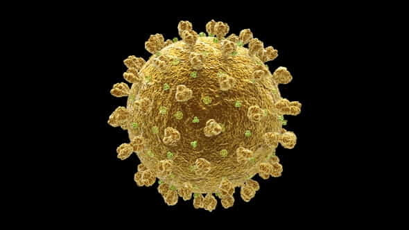 Coronavirus Covid 19 Cell - VideoHive 33799821
