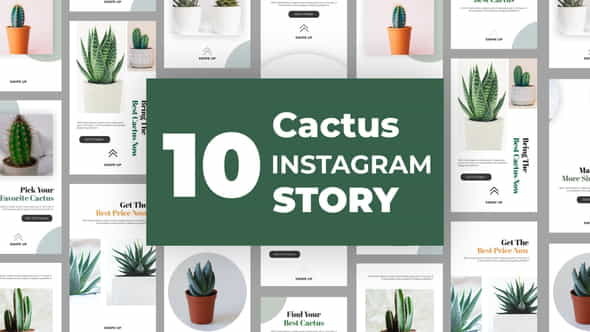 Cactus Instagram Story Pack - VideoHive 33211459