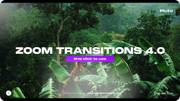Zoom Transitions 4.0 - VideoHive 38803494