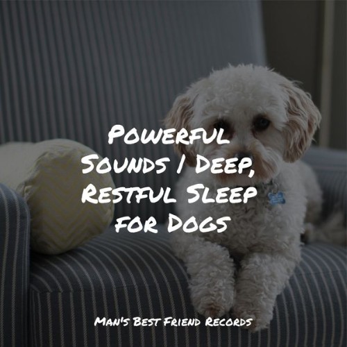 Music For Dogs - Powerful Sounds  Deep, Restful Sleep for Dogs - 2022