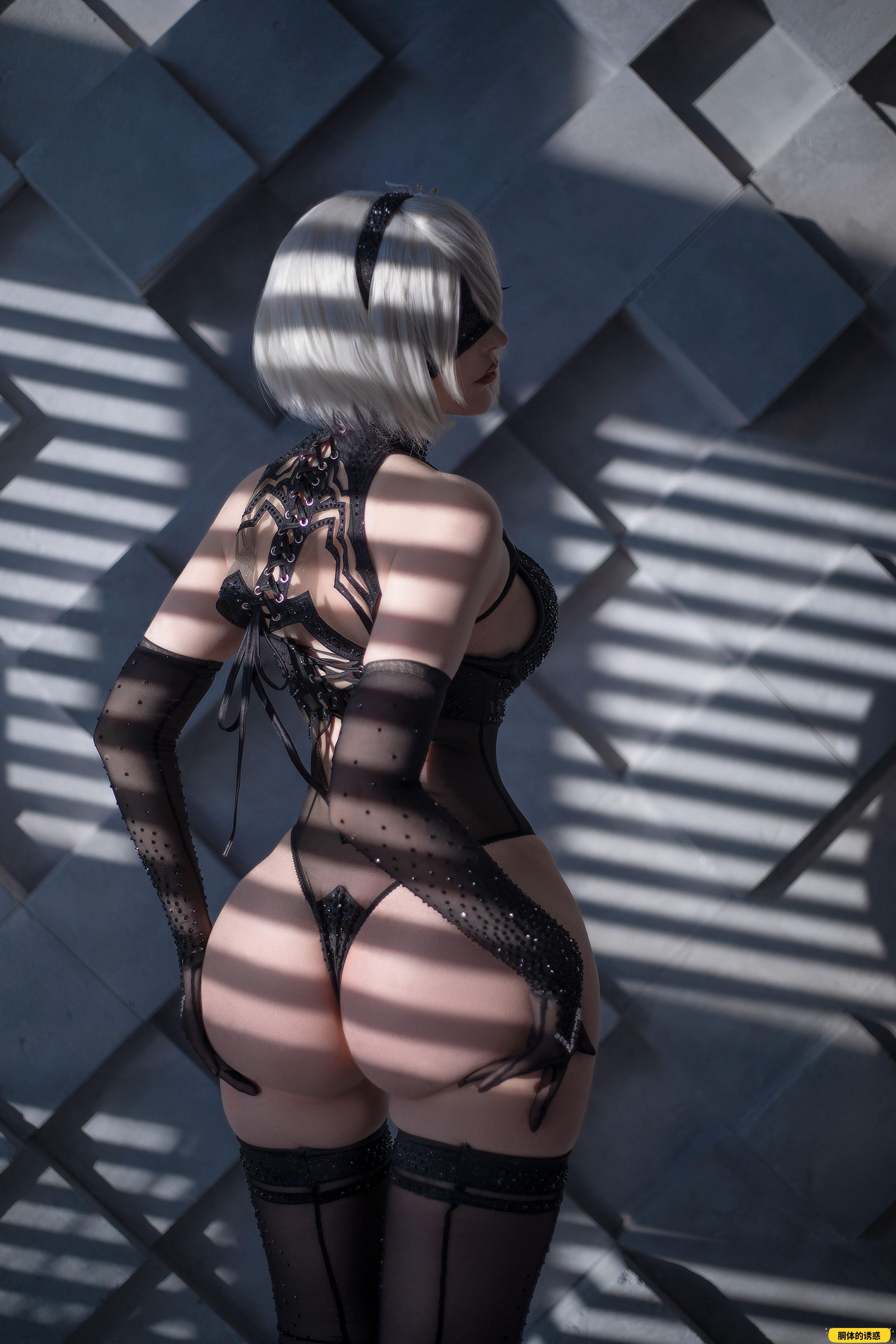 Sayathefox - Cosplay 2B [16P-71MB]