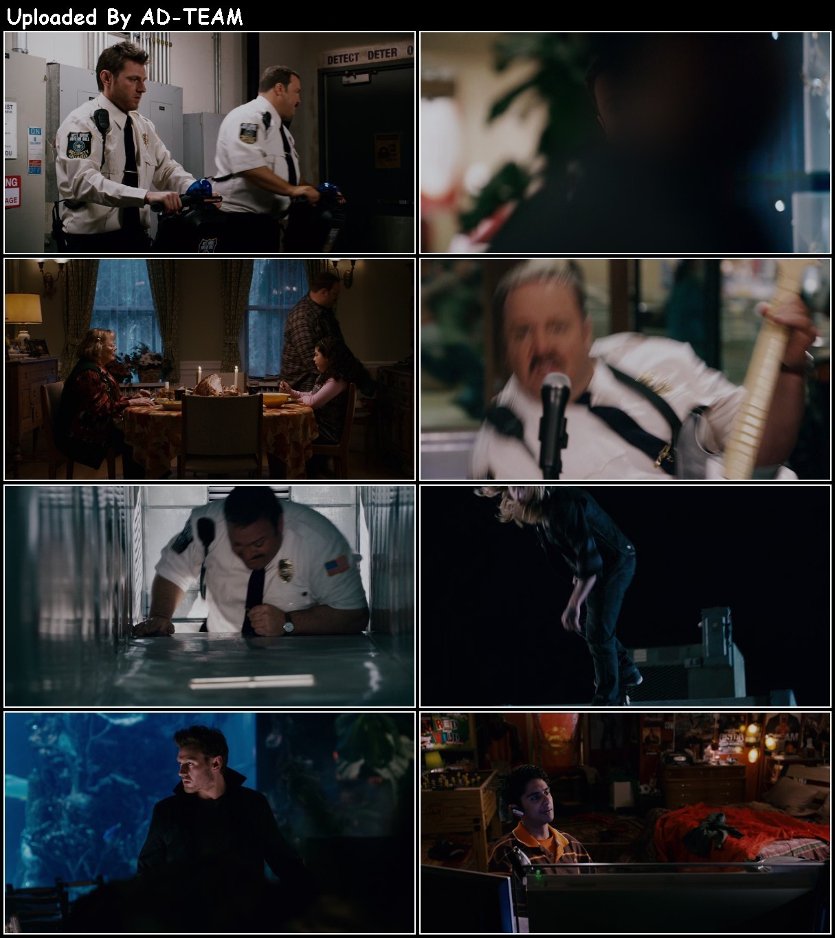 Paul Blart Mall Cop 2009 1080p BluRay x265-RARBG MCdzjATo_o