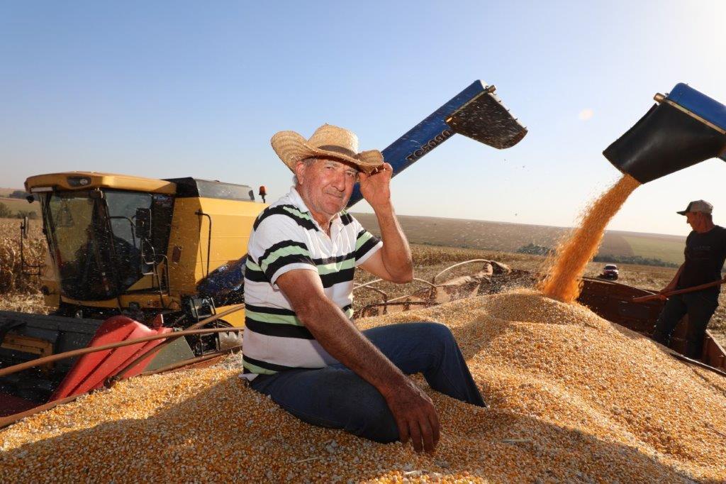 Produtores avançam na colheita do milho na região de Formosa