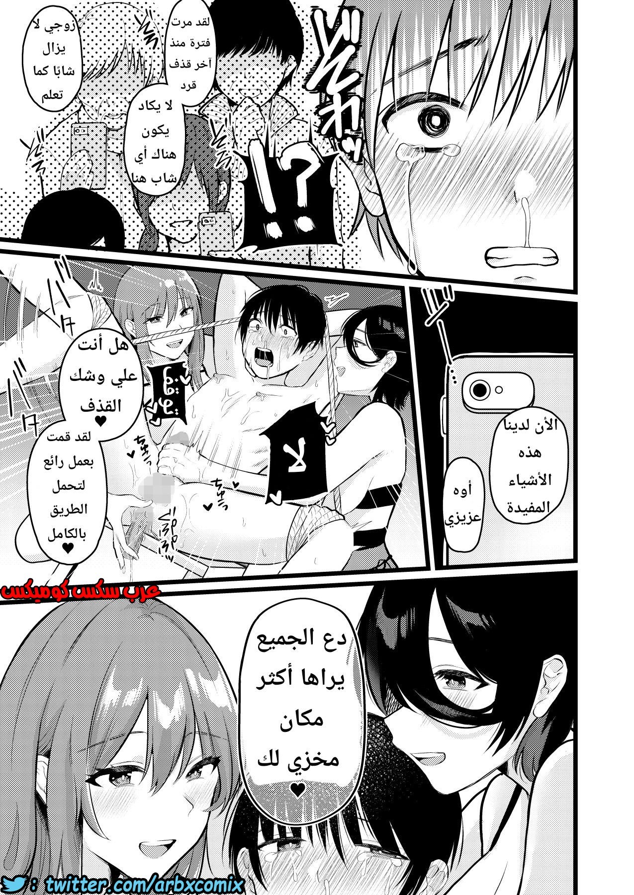 1133 قرية الفيمدوم