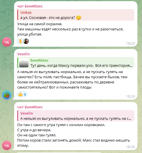 YziPO77t_o.png