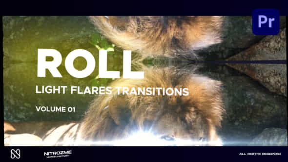 Light Flares Roll - VideoHive 47398392