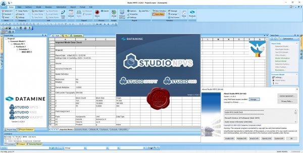 Datamine Studio NPVS v1.4.26.0 (x64) NOr82vHC_o