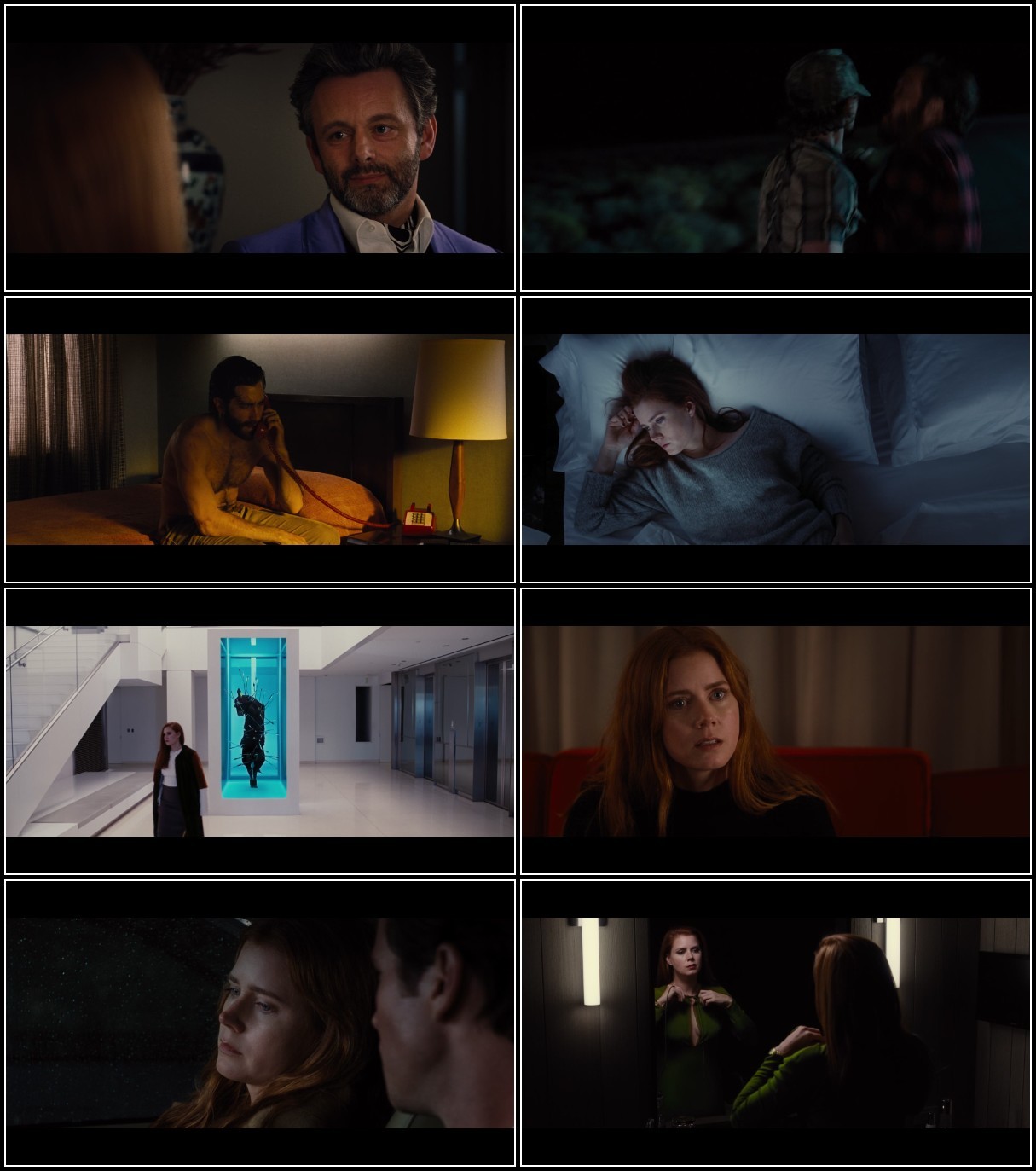 Nocturnal Animals (2016) 1080p BluRay DDP5 1 x265 10bit-GalaxyRG265 KNLlIjuk_o