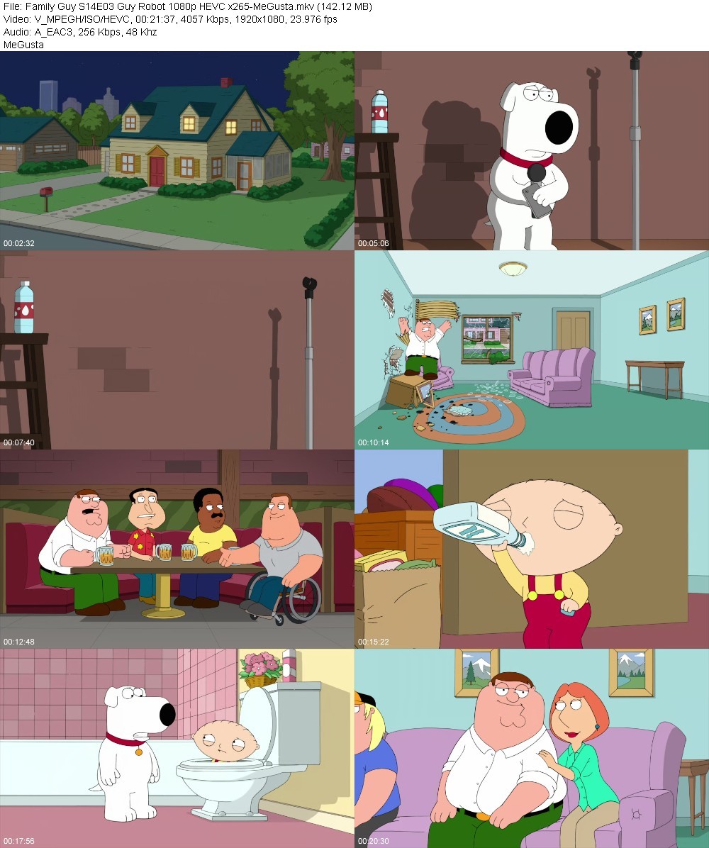 Family Guy S14E03 Guy Robot 1080p HEVC x265-MeGusta