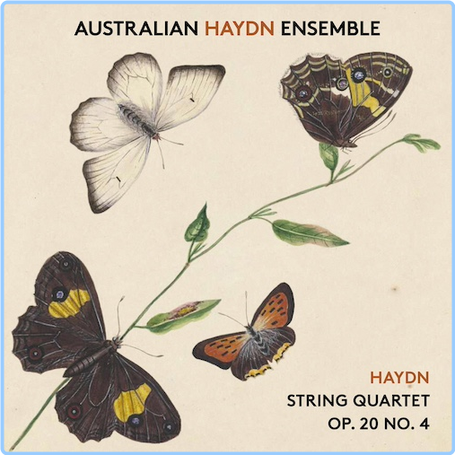 Australian Haydn Ensemble Haydn String Quartet, Op 20, No 4 (2017) 24bit 44kHz XHTV3cXv_o