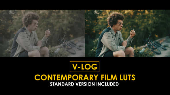 Vlog Contemporary Film And Standard Luts - VideoHive 51280044