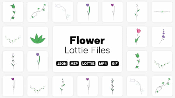 Flower Lottie Elements - VideoHive 39551704