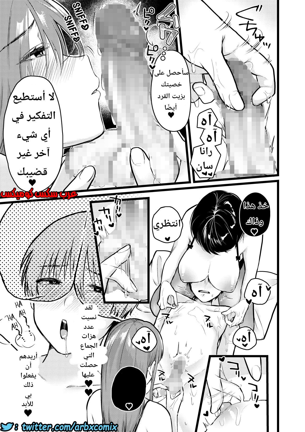 1133 قرية الفيمدوم