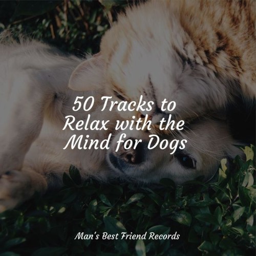 Music For Dogs Peace - 50 Tracks to Relax with the Mind for Dogs - 2022