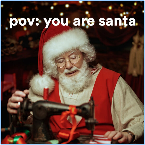 Various Artists - Pov You Are Santa (2024) [320 Kbps] P0aYP1bO_o