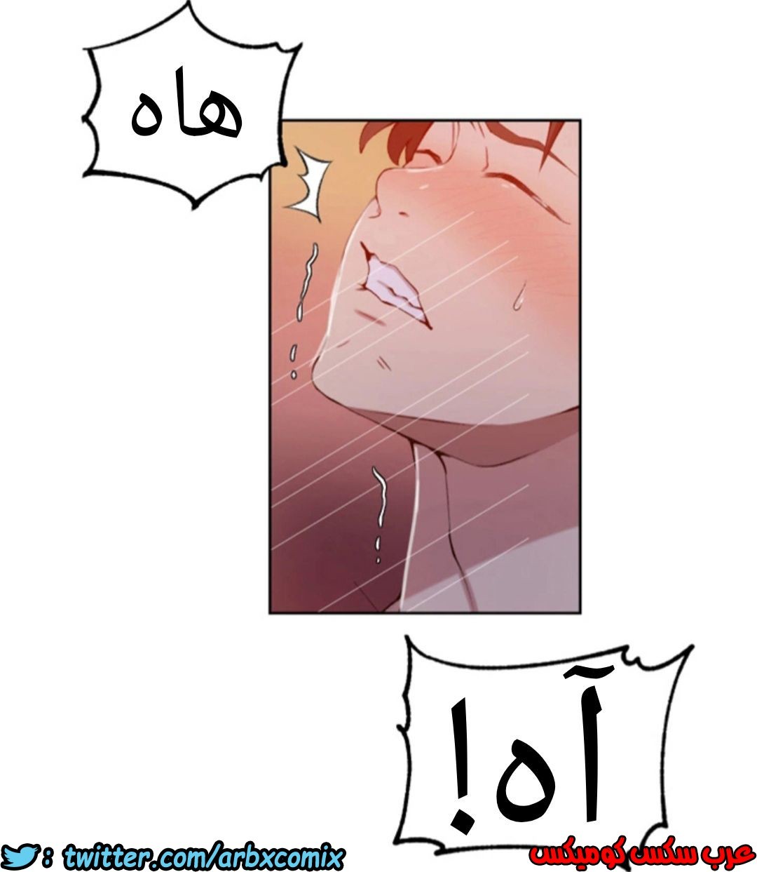 902 صف سري الجزء 41