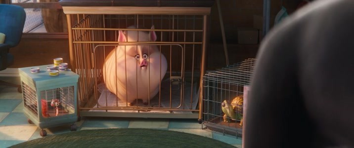 DC League Of Super-Pets 2022 BRRip XviD AC3-EVO DC League Of Super-Pets 2022 BRRip XviD AC3-EVO