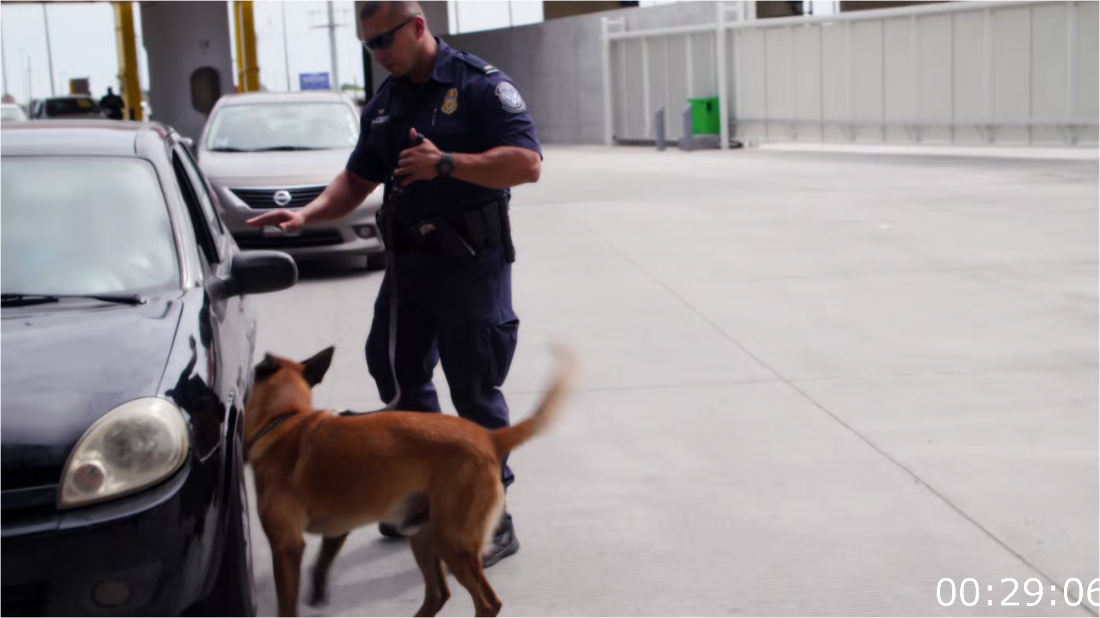 Contraband Seized At The Border S03E06 [1080p] (x265) D2nlUjyB_o