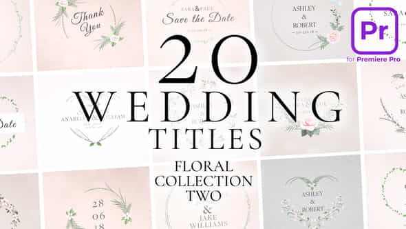 Wedding Titles - VideoHive 39461959