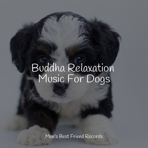 Jazz Music for Dogs - Buddha Relaxation Music For Dogs - 2022