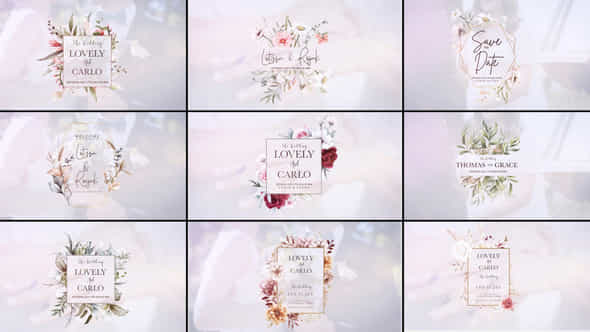 Wedding Titles - VideoHive 52884323