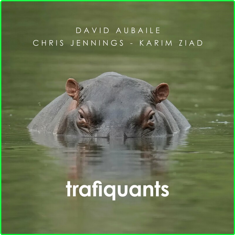 David Aubaile Trafiquants (2024) [FLAC] 16BITS 44 1KHZ He8FS7NB_o