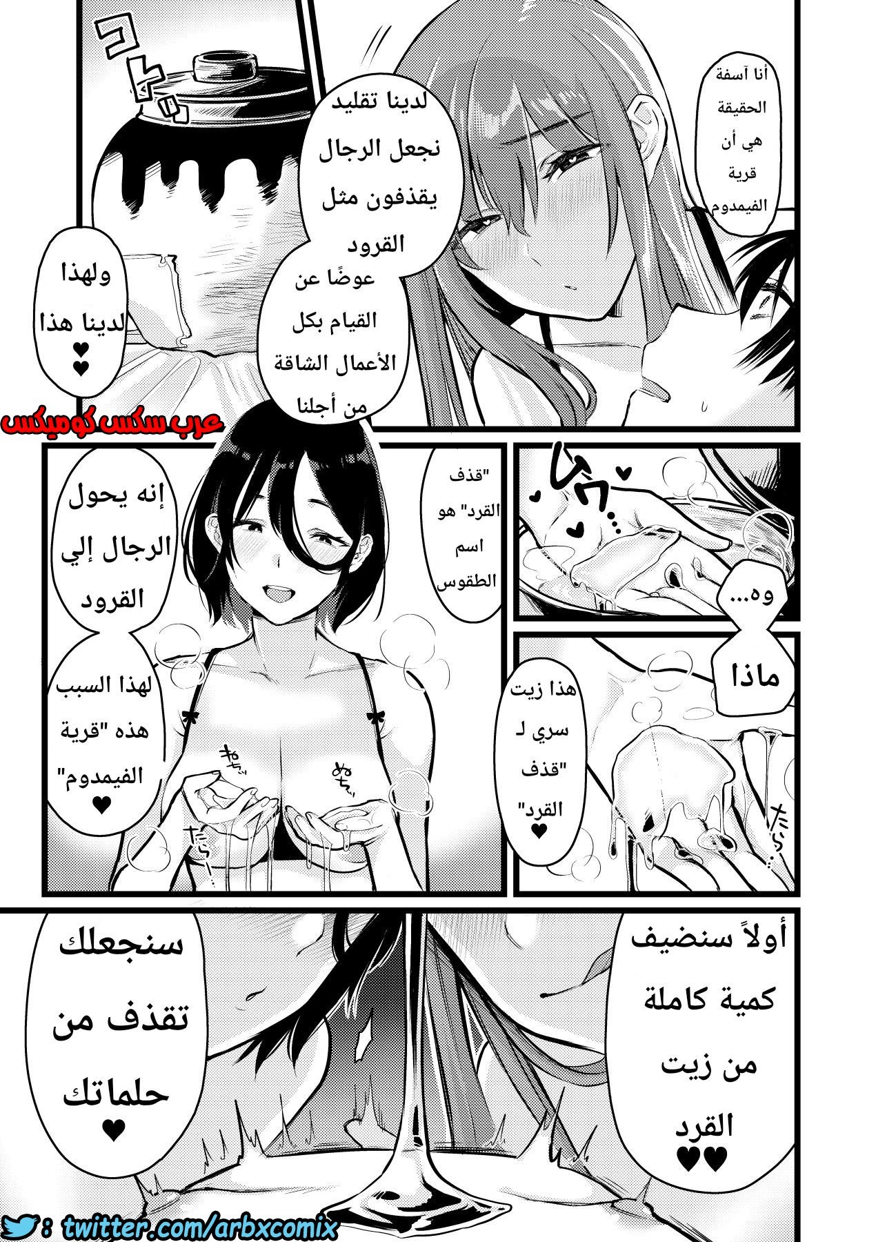 1133 قرية الفيمدوم
