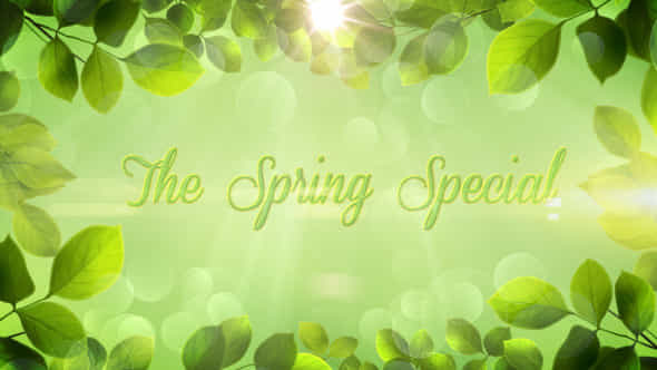 The Spring Special - VideoHive 10856198