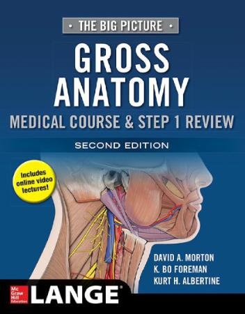 The Big Picture - Gross Anatomy, Medical Course & Step 1 Review, 2nd Edition