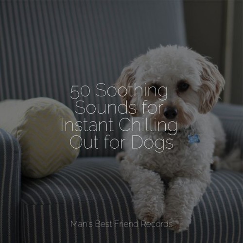 Music For Dogs Peace - 50 Soothing Sounds for Instant Chilling Out for Dogs - 2022