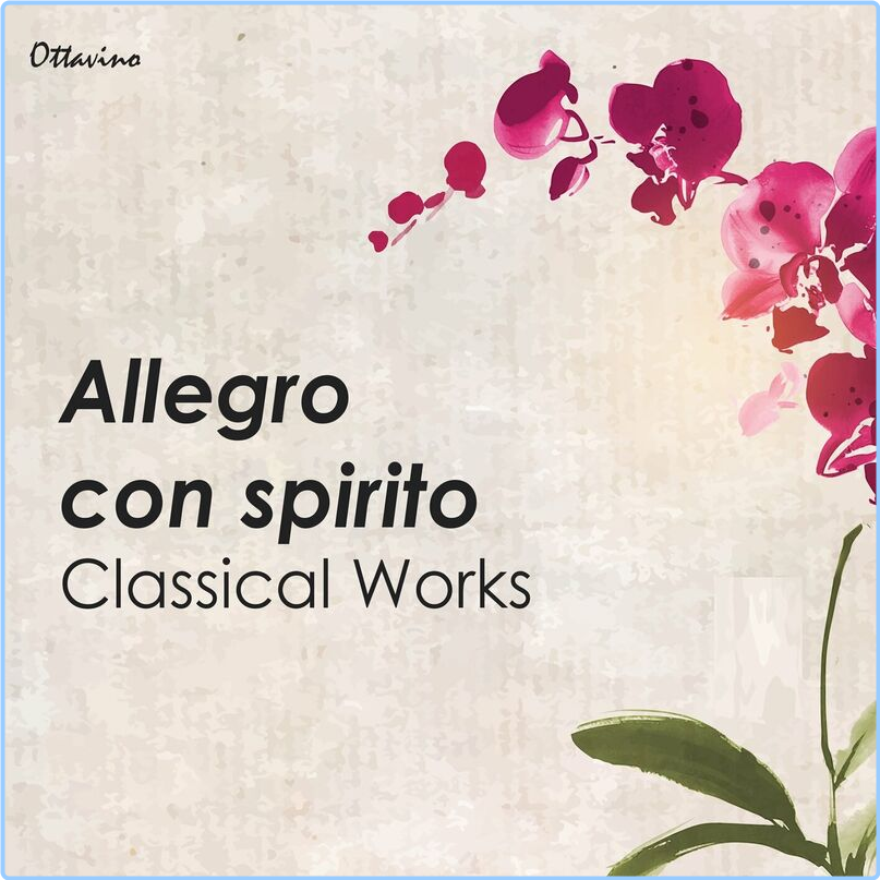 Wolfgang Amadeus Mozart Allegro Con Spirito Classical Works (2024) [320 Kbps] H1JMtiGP_o