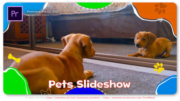 Welcome Pets World - VideoHive 46427916