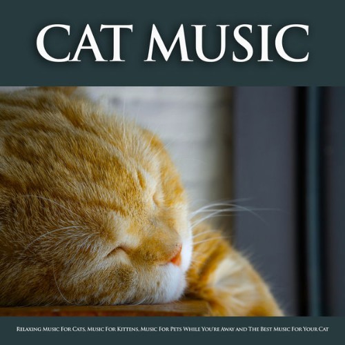 Cat Music - Cat Music Relaxing Music For Cats, Music For Kittens, Music For Pets While You're Awa...