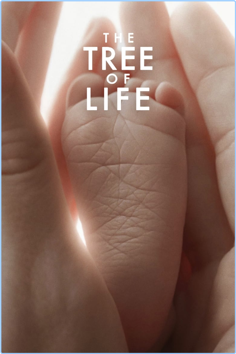 The Tree Of Life (2011) Criterion Extended [1080p] BluRay (x265) [6 CH] BvWUpusn_o