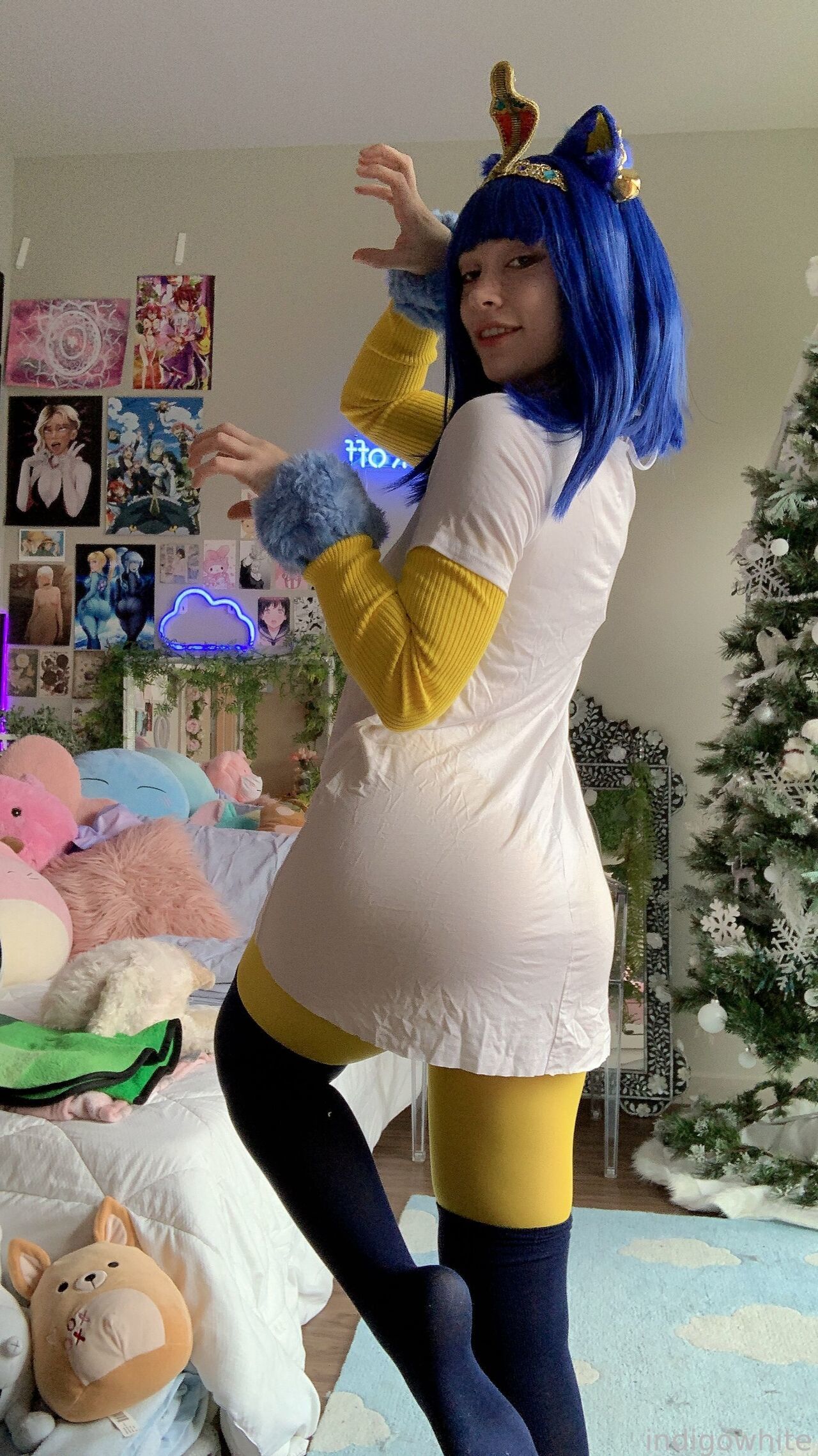 Indigo White - Ankha