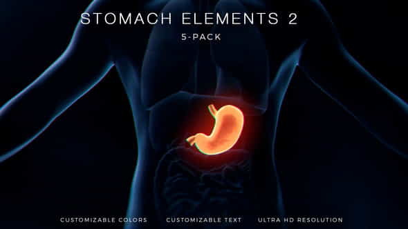 Stomach Elements 2 - VideoHive 33200534
