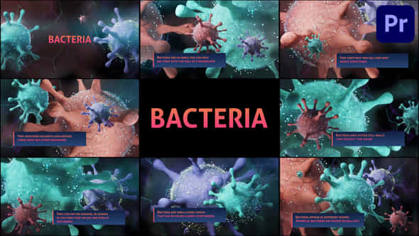 Bacteria - VideoHive 44561642