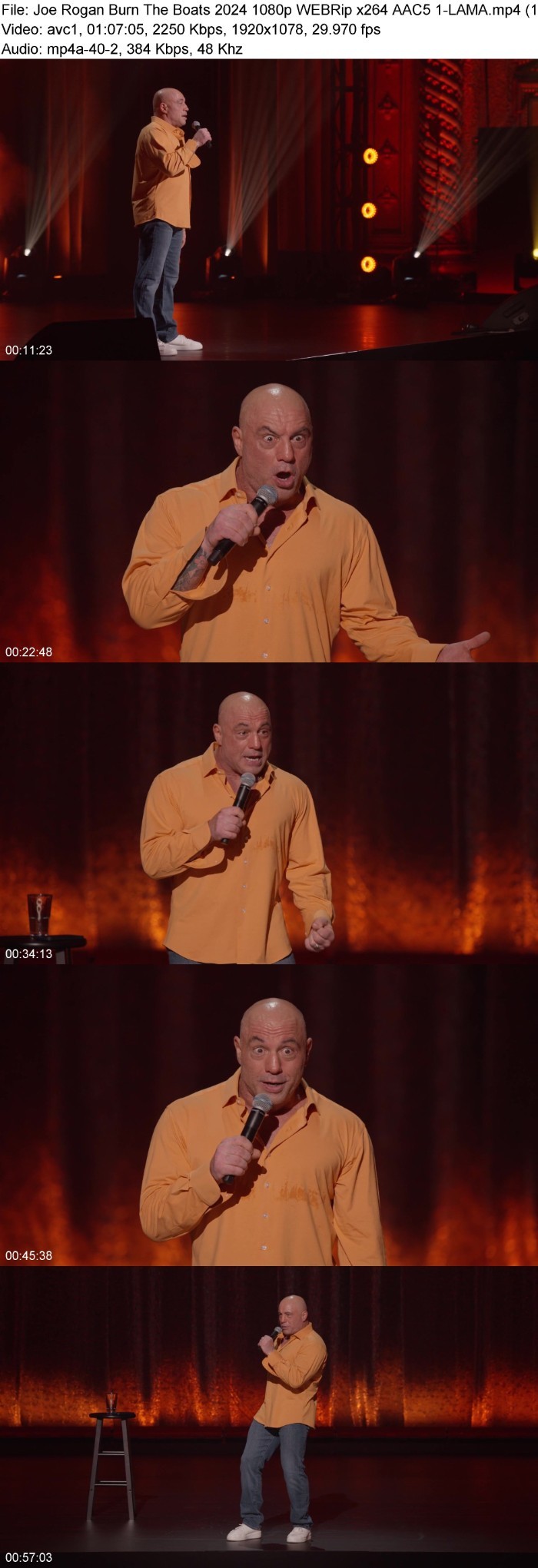 Joe Rogan Burn The Boats (2024) 1080p WEBRip 5 1-LAMA Ivs7wsEa_o