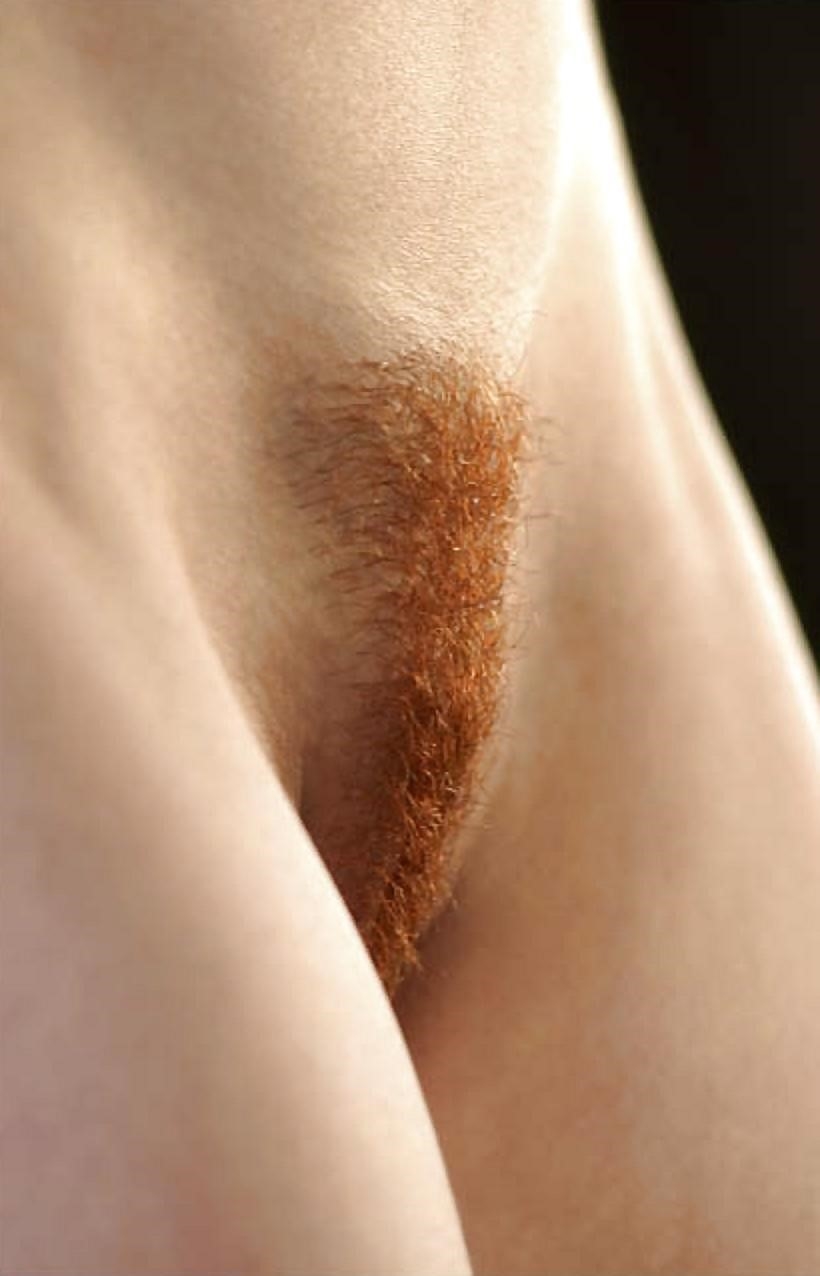 Nude hairy redhead pics-6240